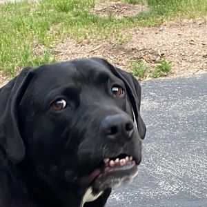 Meet your Posher, Debbie